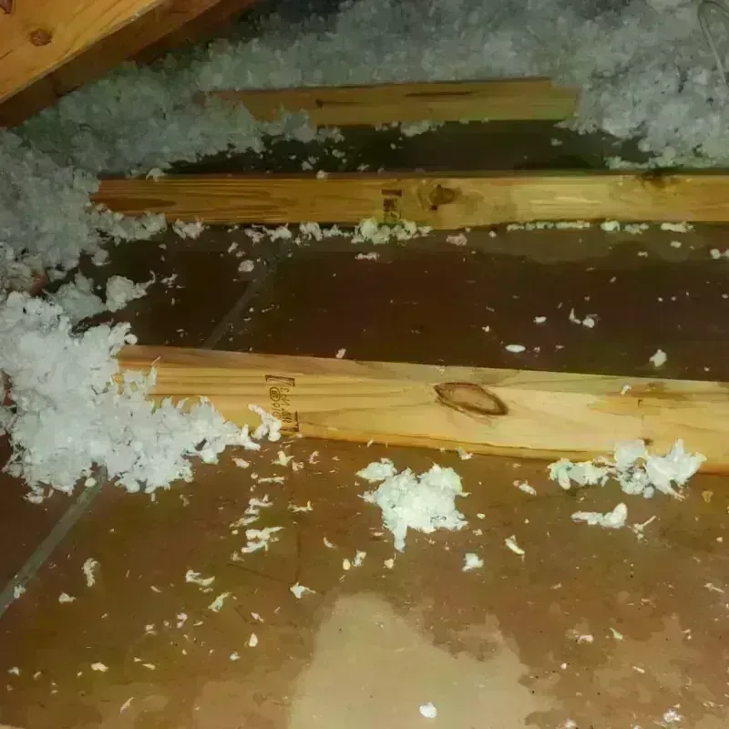 Attic Water Damage in Waverly, IL