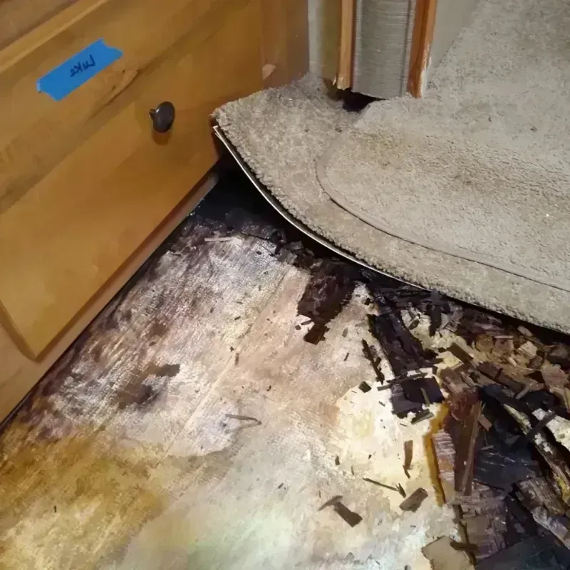 Wood Floor Water Damage in Waverly, IL